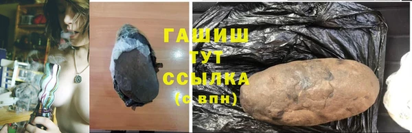 сатива Баксан