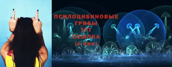 сатива Баксан