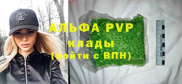 сатива Баксан