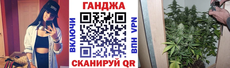 Каннабис сатива  как найти закладки  Сосновка 